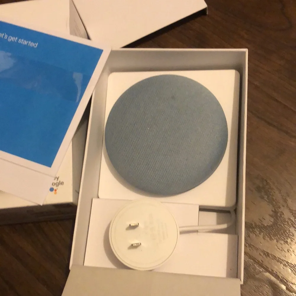 Google Nest Mini